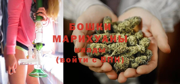 гидра Аркадак