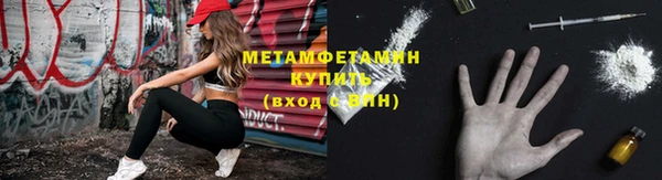 гидра Аркадак