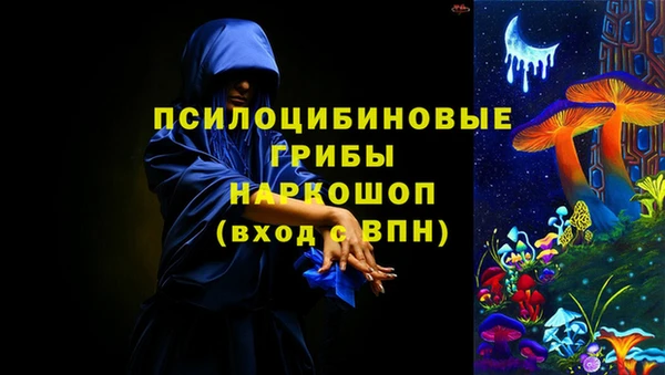 СК Арсеньев